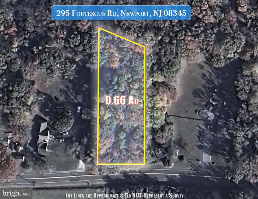 295 Fortescue Rd, Newport, NJ 08345 - #2