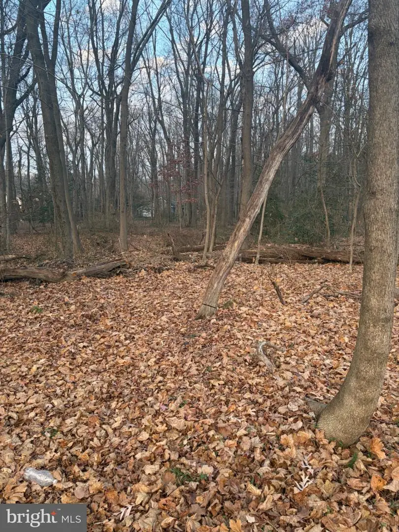 1413 Locust Ave, Voorhees, NJ 08043 - Image #2