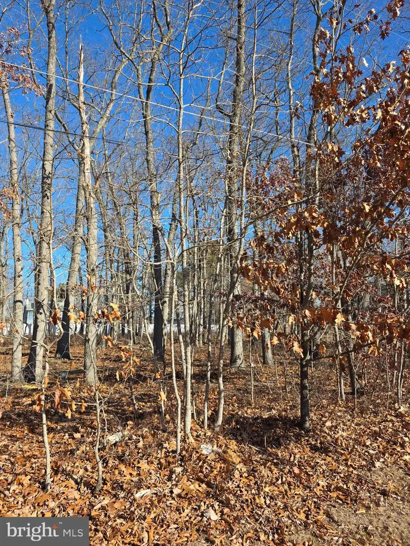 Thompson Ave, Waterford Works, NJ 08089 - Image #1