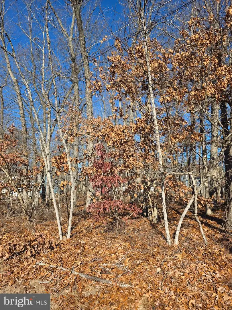 Thompson Ave, Waterford Works, NJ 08089 - Image #2