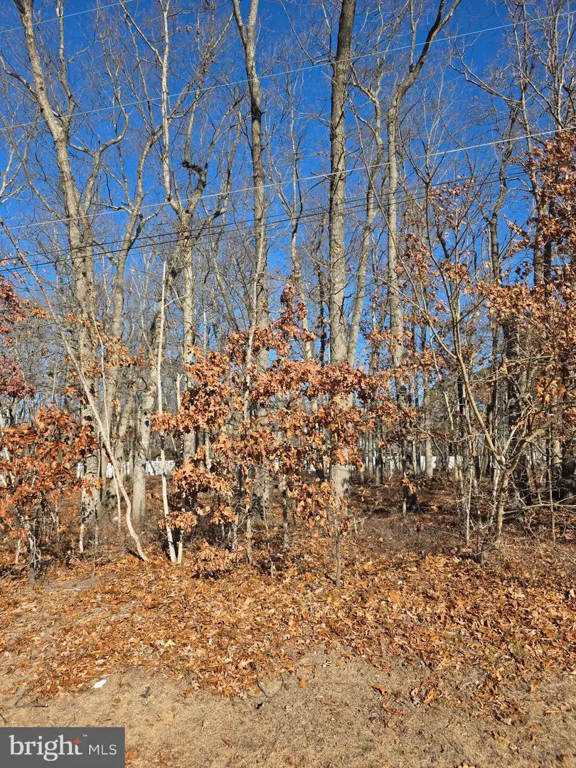 Thompson Ave, Waterford Works, NJ 08089 - Image #3