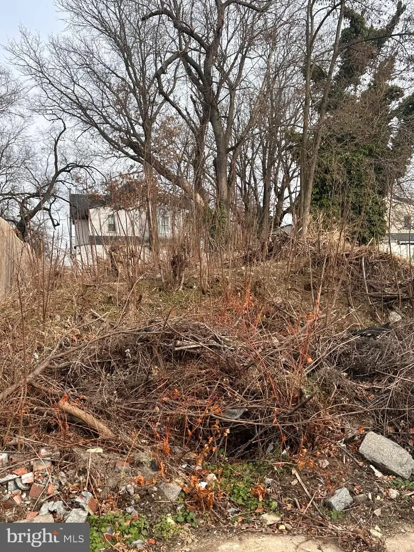 1226 N Bergen Ave, Camden, NJ 08105 - Image #2