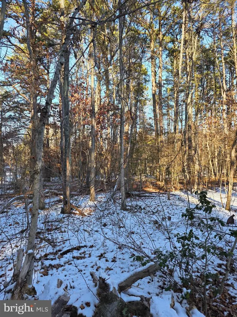 0 Payson, Chesilhurst, NJ 08089 - Image #2