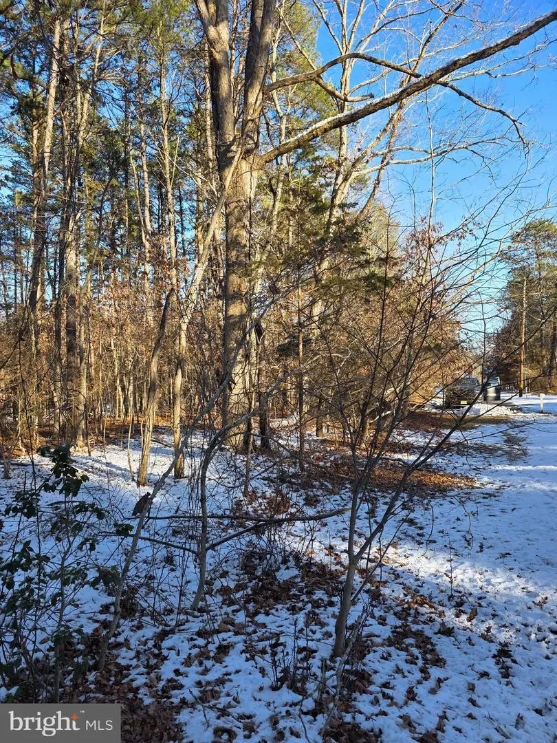 0 Payson, Chesilhurst, NJ 08089 - Image #3