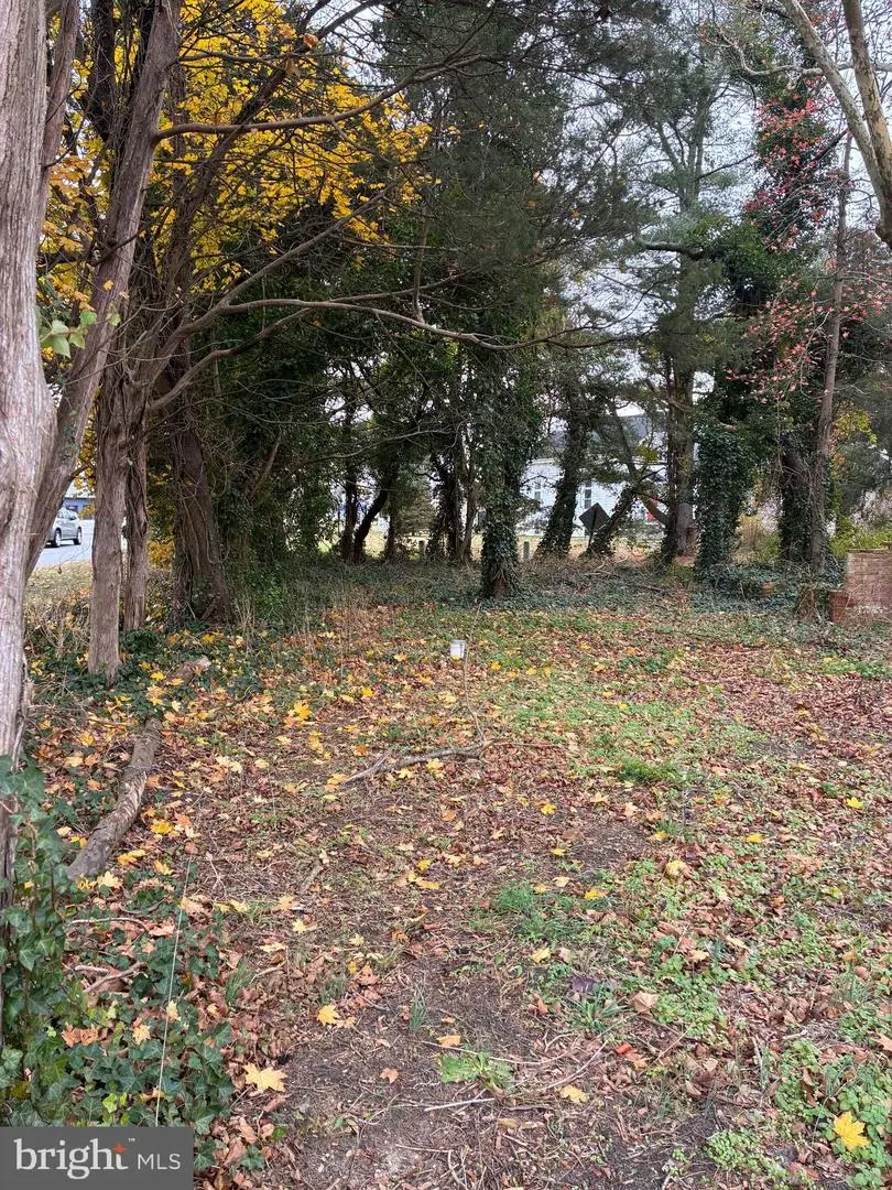 3485 Harding Hwy, Newfield, NJ 08344 - Image #3