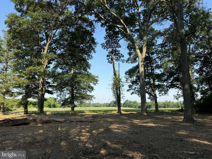 22 Nutt Ln, Mullica Hill, NJ 08062 - #2