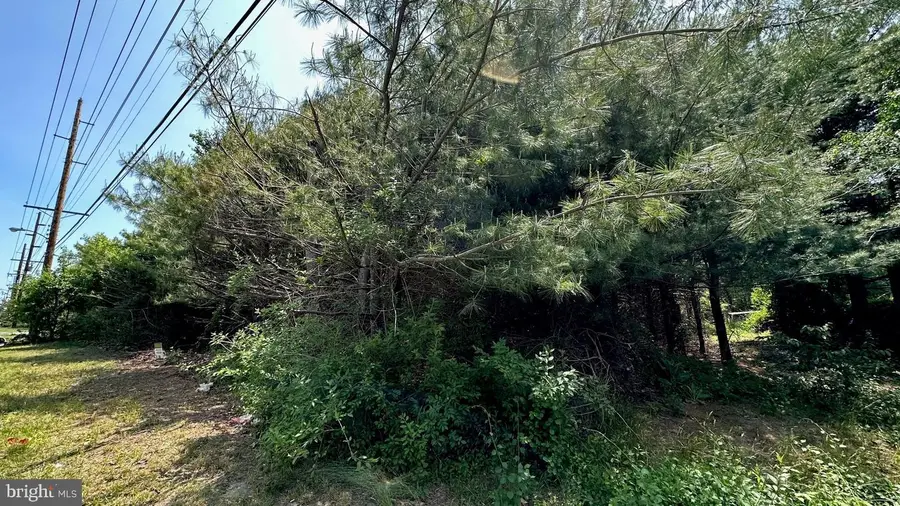 0 Piney Hollow Rd, Williamstown, NJ 08094 - #3