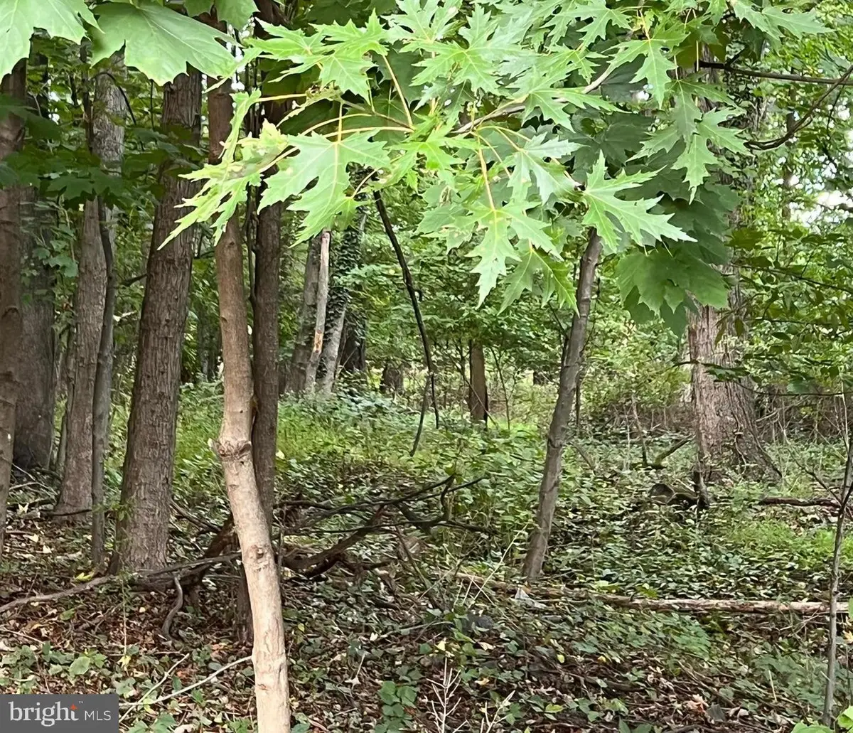 L:25 Mandl St, Hamilton, NJ 08619 - #1