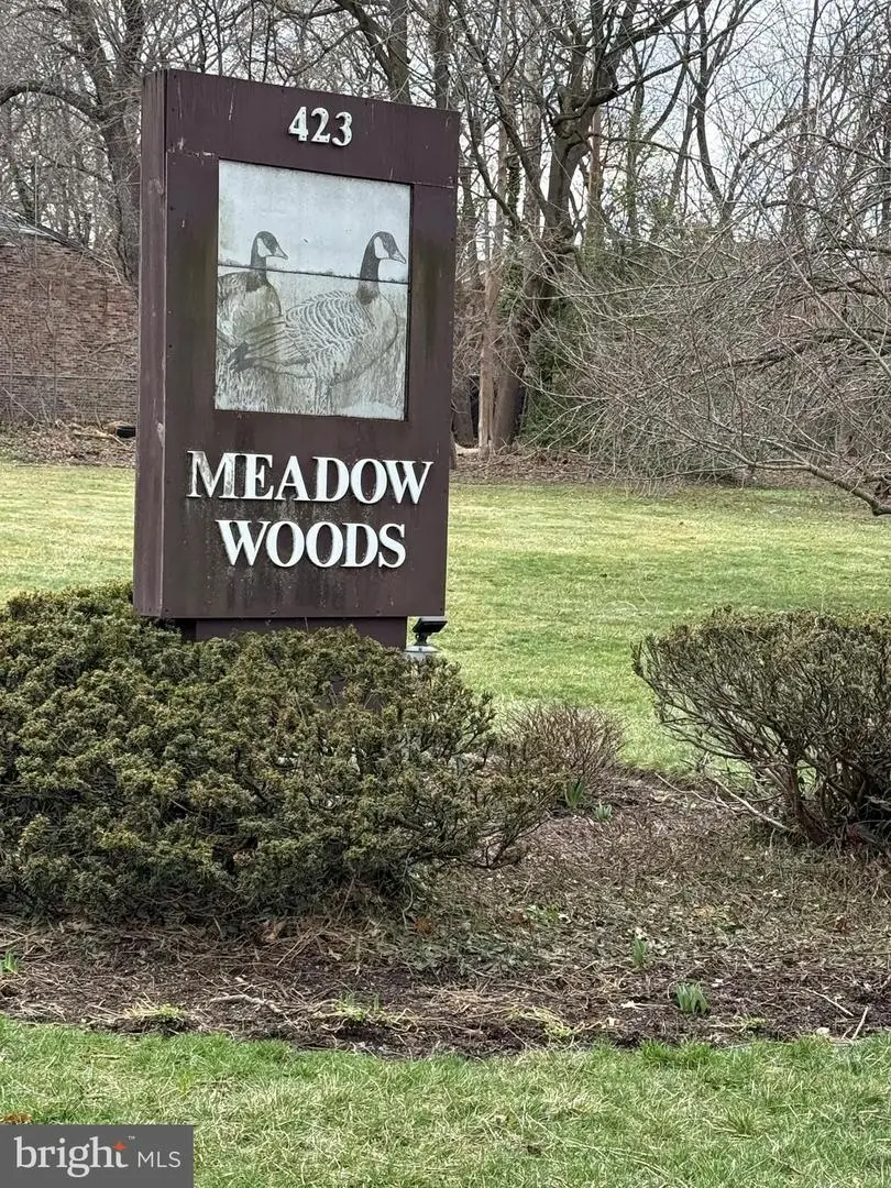 703 Meadow Woods, Lawrence, NJ 08648 - #1