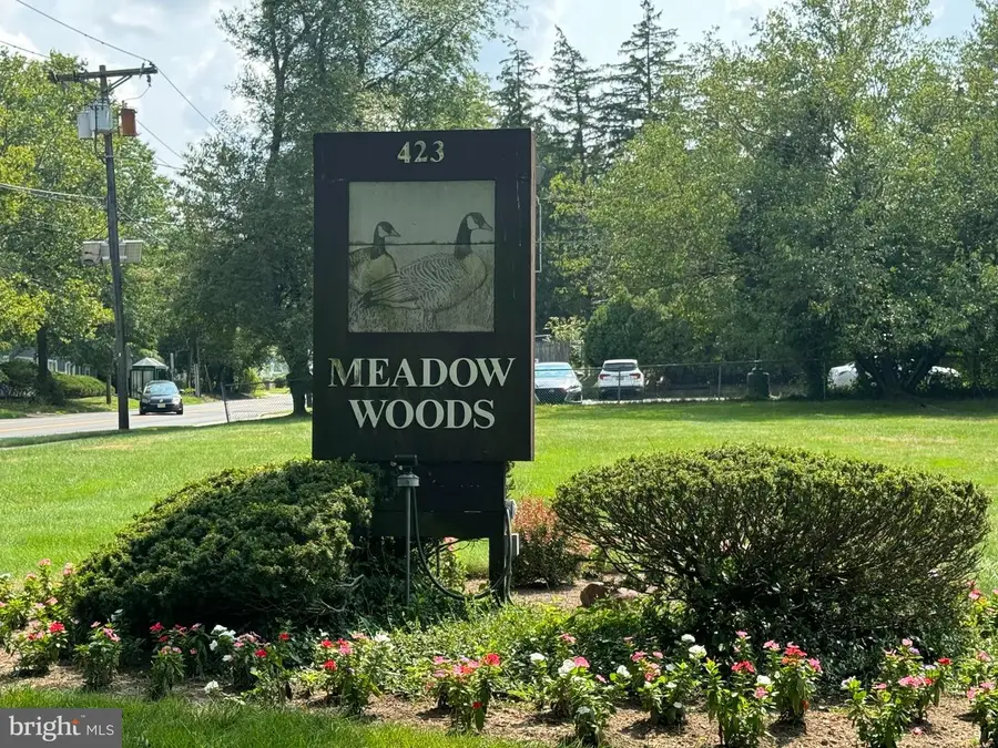 309 Meadow Woods Ln, Lawrence, NJ 08648 - #2