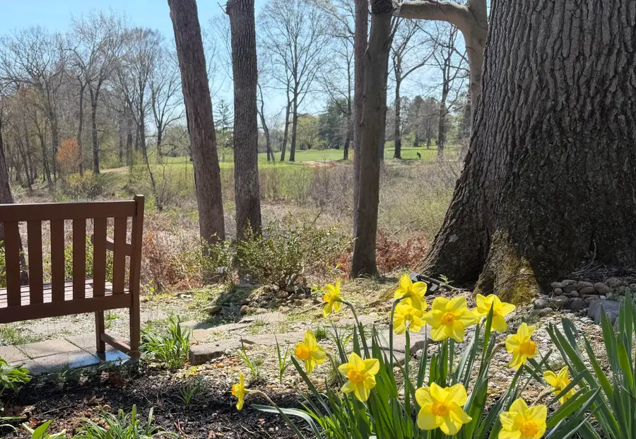 12 Cliffview Ct, Princeton Junction, NJ 08550 - #3