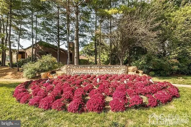 1307 Sayre Dr, Princeton, NJ 08540 - #1