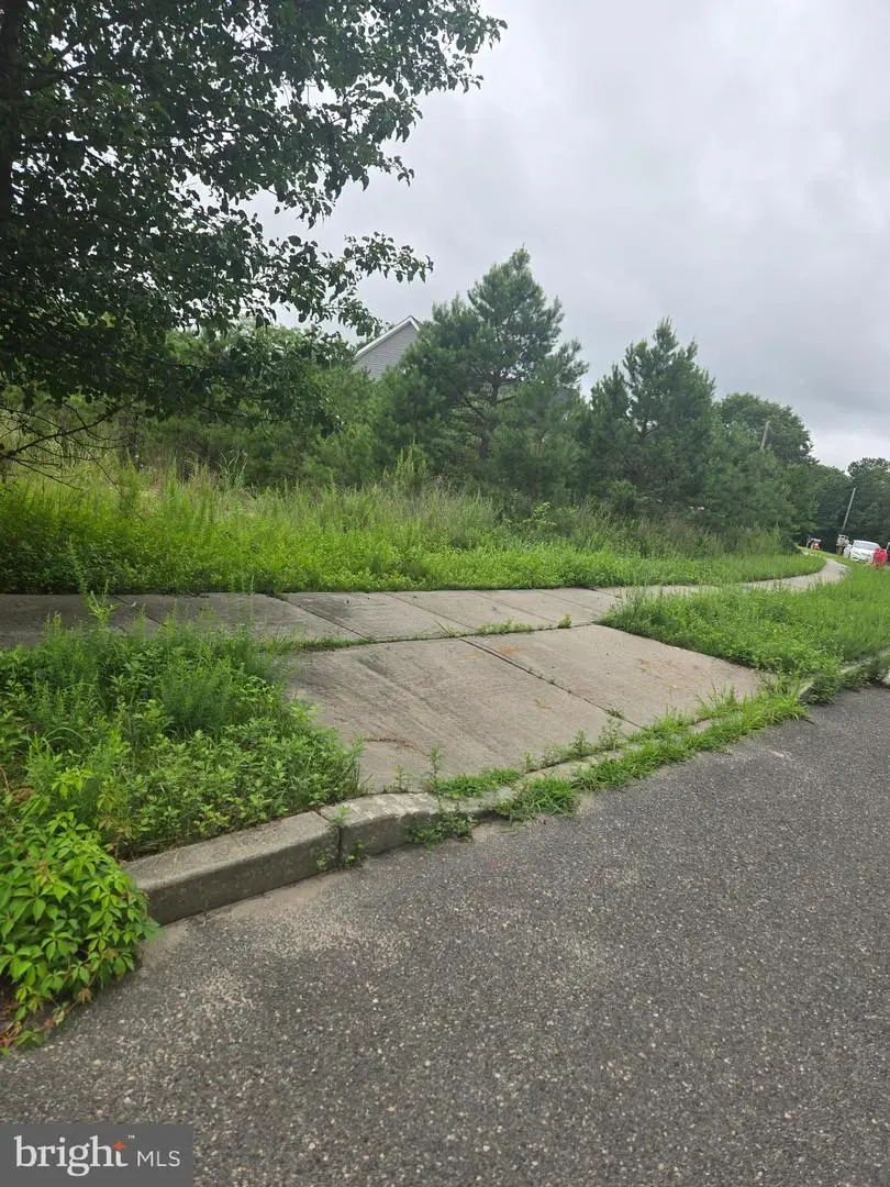 159 Littleworth Rd, Manahawkin, NJ 08050 - Image #1