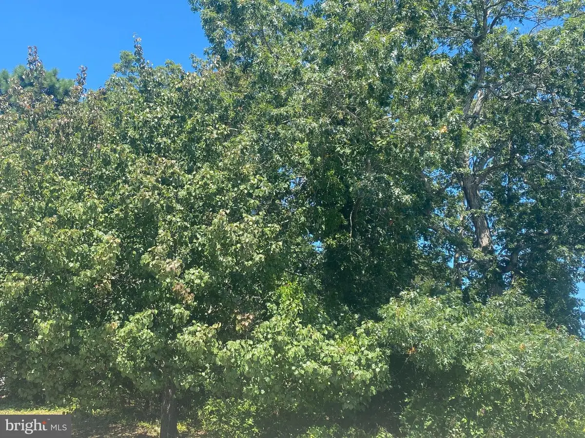 140 Warren Grove Rd, Barnegat, NJ 08005 - Image #1