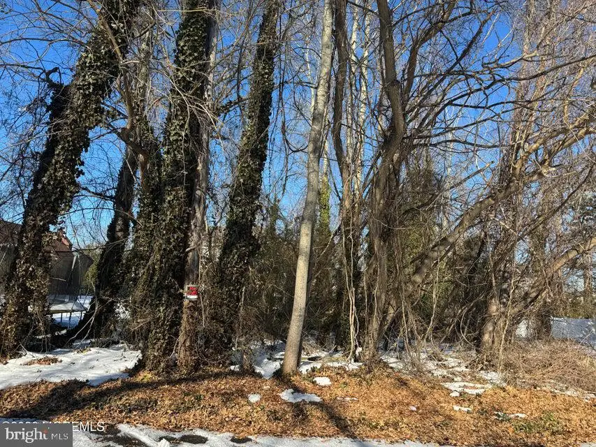 0 Lawshe Dr, Pine Beach, NJ 08741 - #1