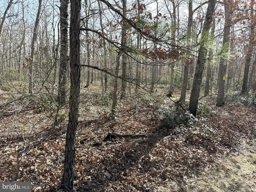 0 Cedar Bridge Rd, Barnegat, NJ 08005 - #3