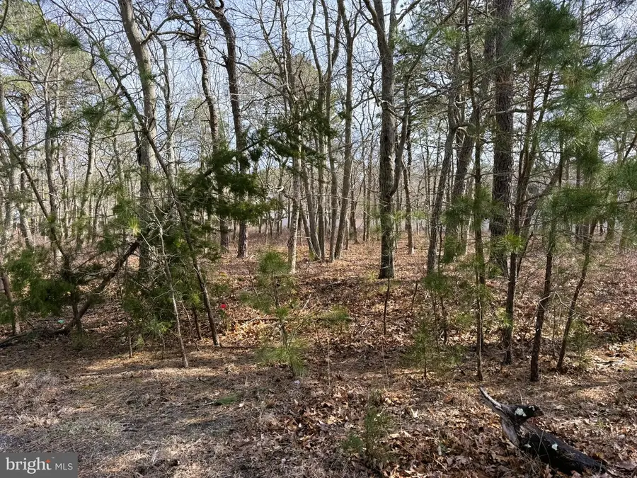 16 Pinewood Dr, Little Egg Harbor, NJ 08087 - #3