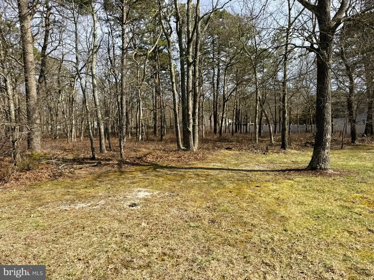 20 Pinewood Dr, Little Egg Harbor, NJ 08087 - #1