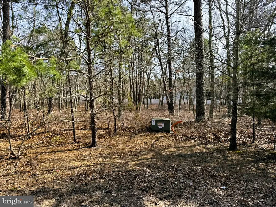 22 Pinewood Dr, Little Egg Harbor, NJ 08087 - #2