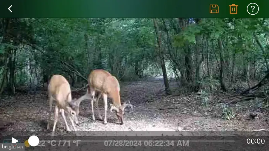 L9, 26, 28, 29, 33 Burden Hill, Salem, NJ 08079 - #3