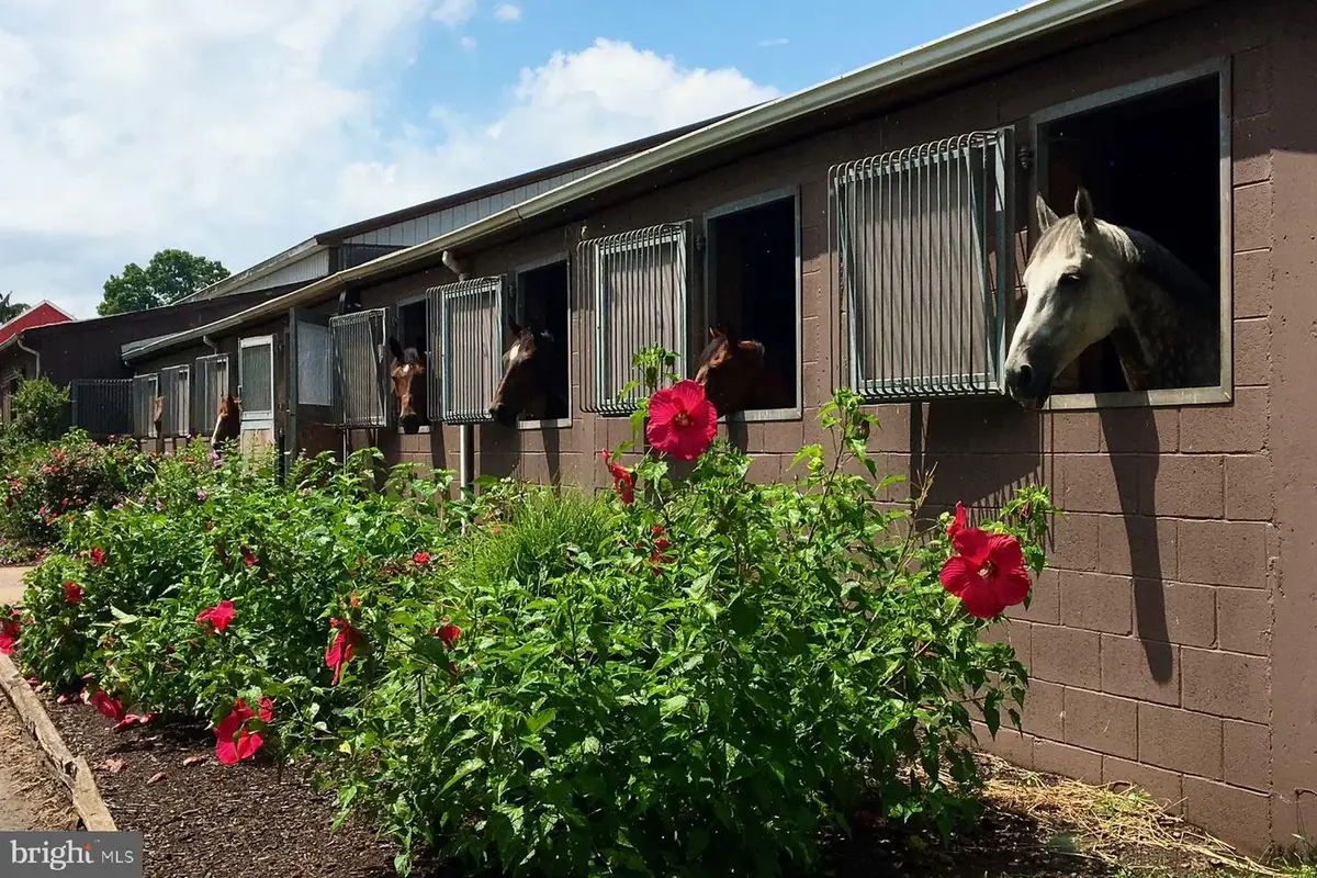 1015 Cherry Hill Rd, Princeton, NJ 08540 - #1