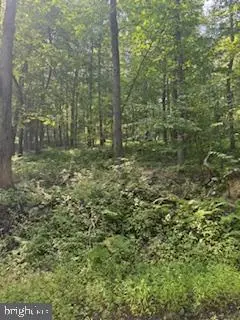 #3