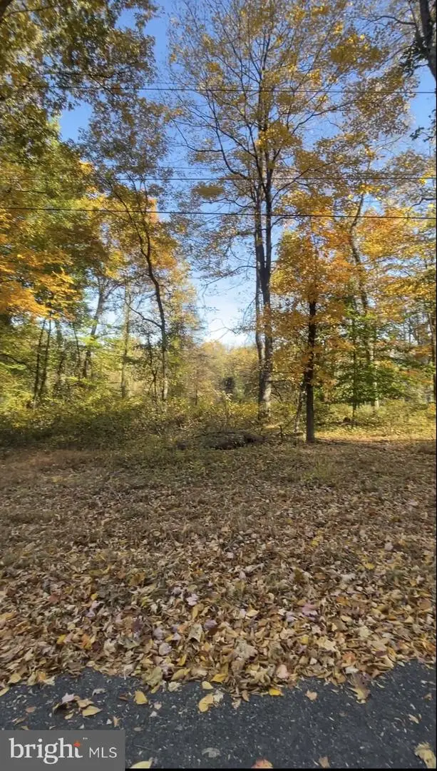 10 & 8 Fir Trl, Fairfield, PA 17320 - #3