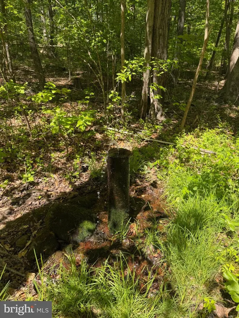 14 Deep Hollow Trl, Fairfield, PA 17320 - #3
