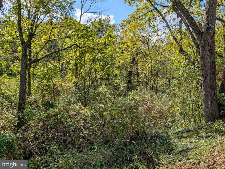 00 Chalybeate Road, Bedford, PA 15522 - Image #3