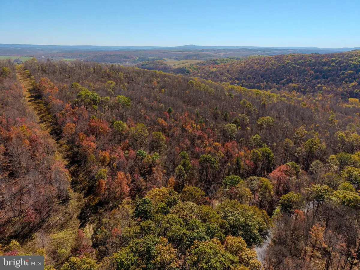 Off Thomas Rd, Alum Bank, PA 15521 - Image #1