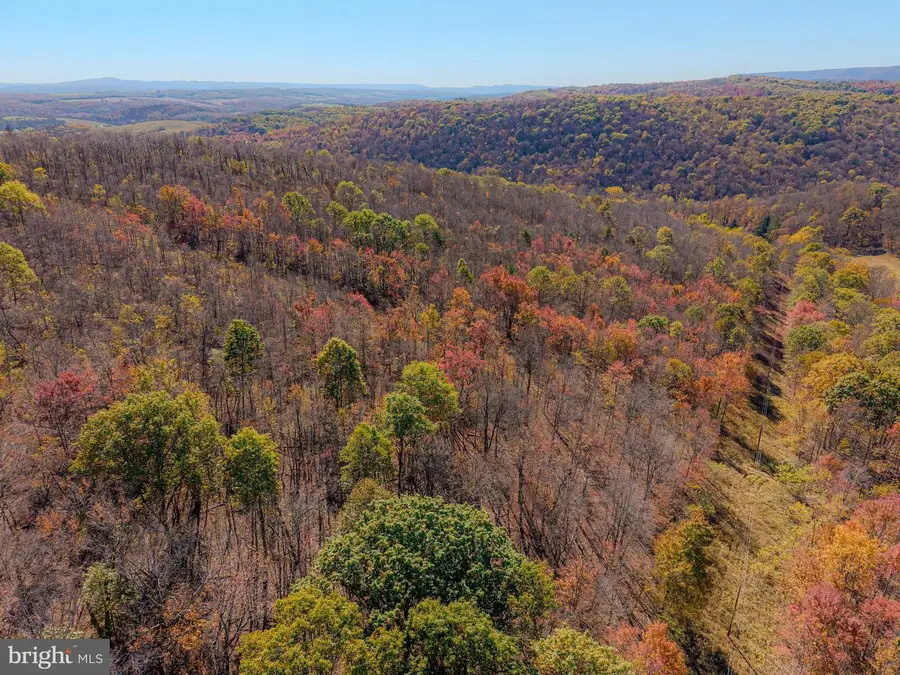 Off Thomas Rd, Alum Bank, PA 15521 - Image #3