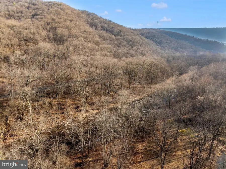 000 Gooseberry Road, Hyndman, PA 15545 - #2