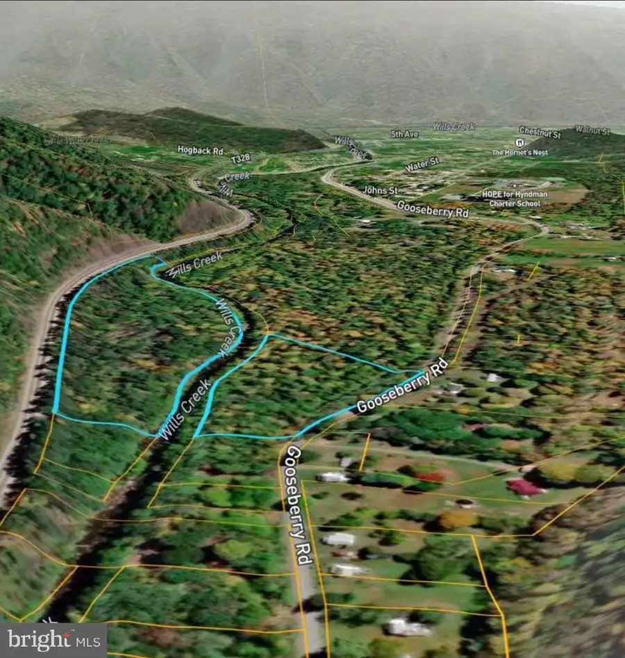 000 Gooseberry Road, Hyndman, PA 15545 - #3