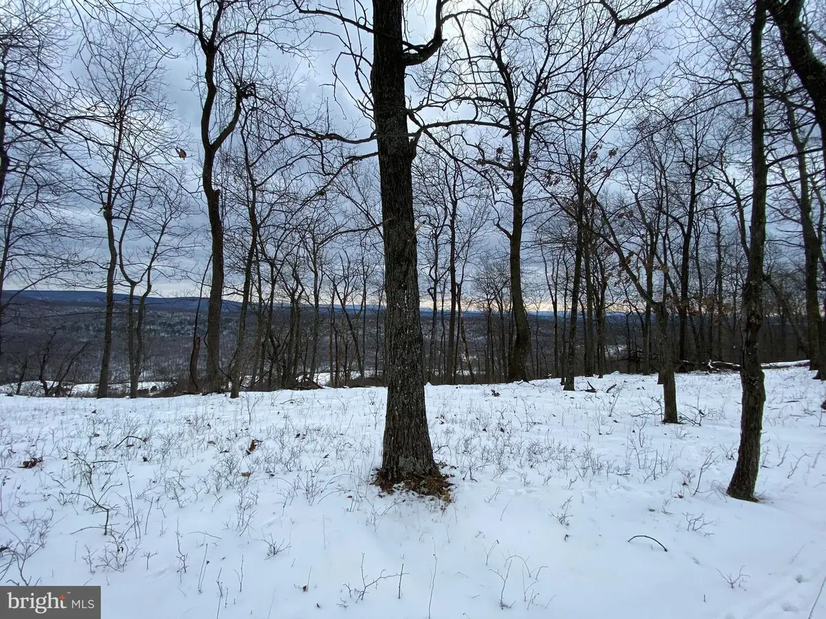 1872 Monroe Mountain Road, Clearville, PA 15535 - #1