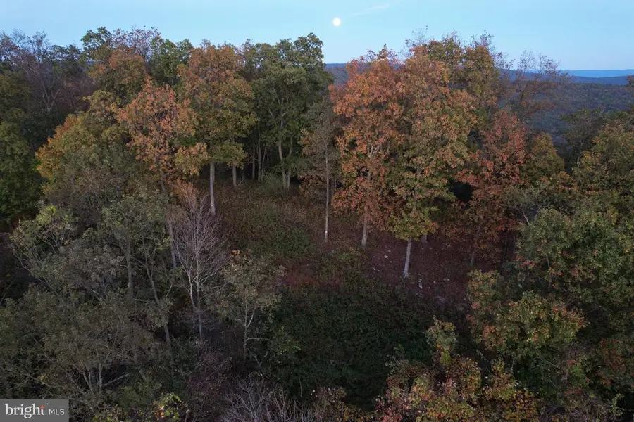 1872 Monroe Mountain Road, Clearville, PA 15535 - #3