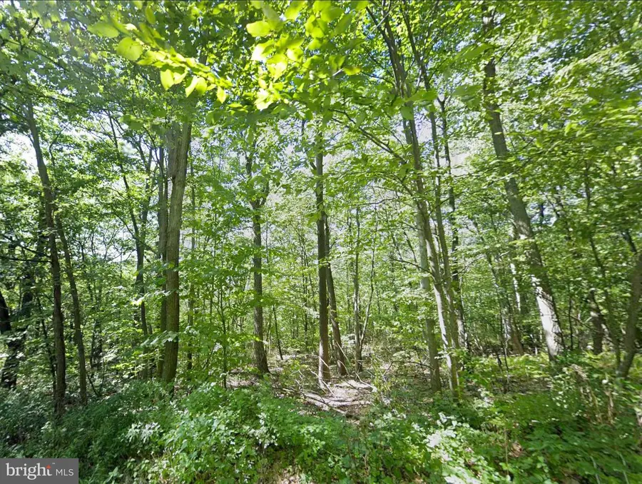 00 Weavers Wood Rd, Saxton, PA 16678 - #2