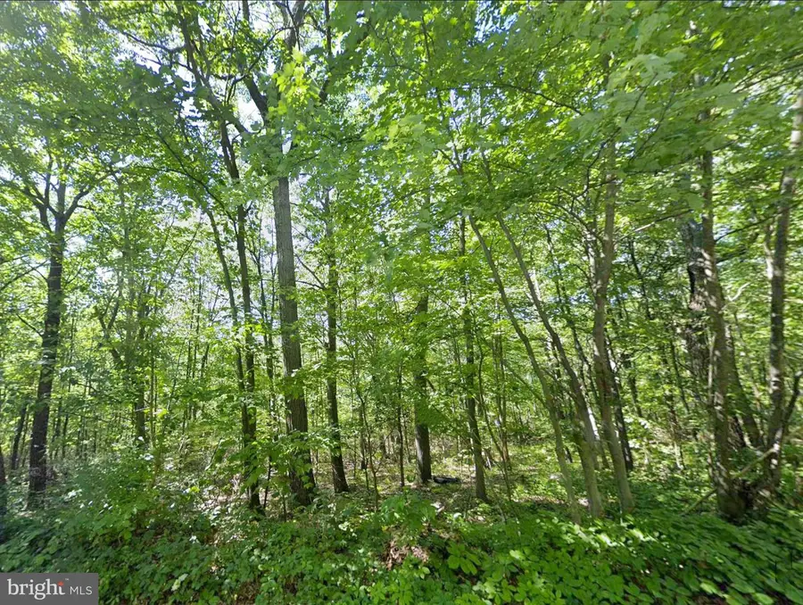 00 Weavers Wood Rd, Saxton, PA 16678 - #3