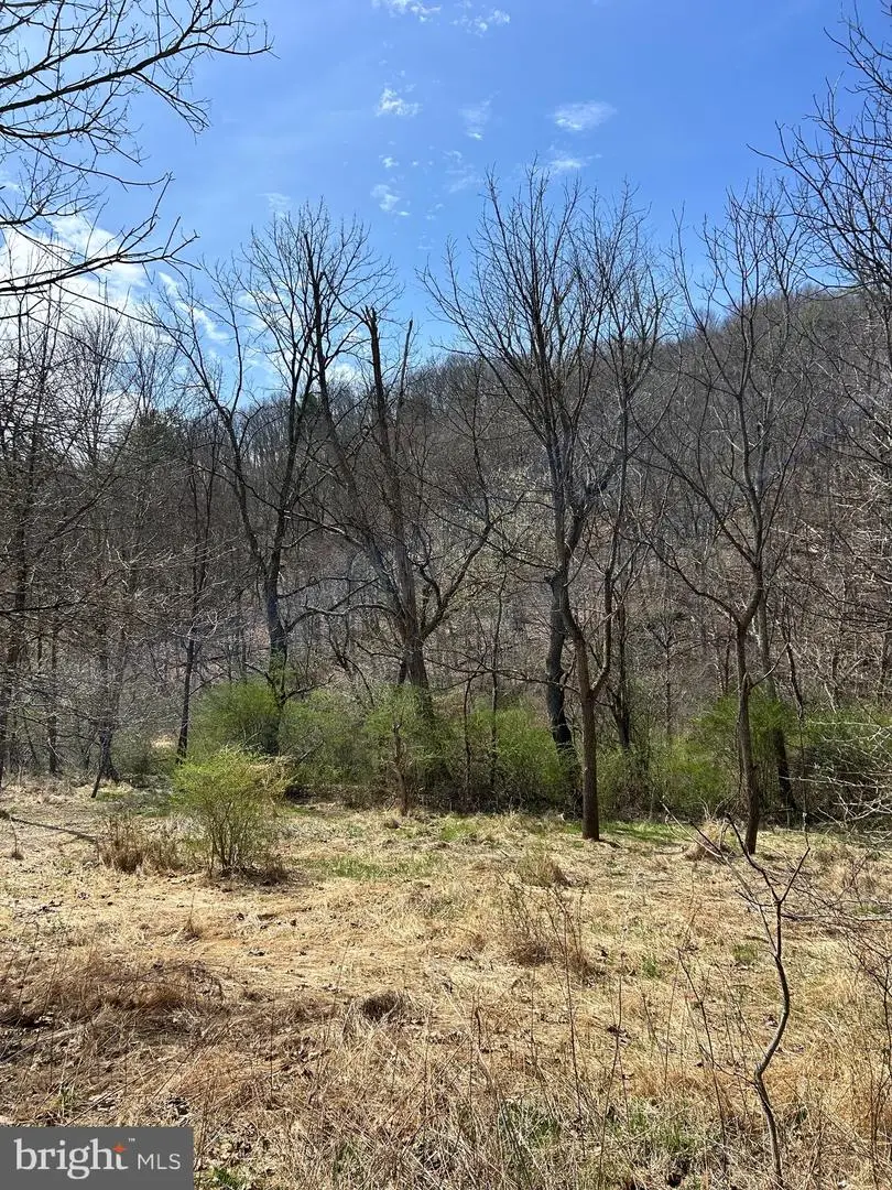 1150 Purcell Rd, Artemas, PA 17211 - #2