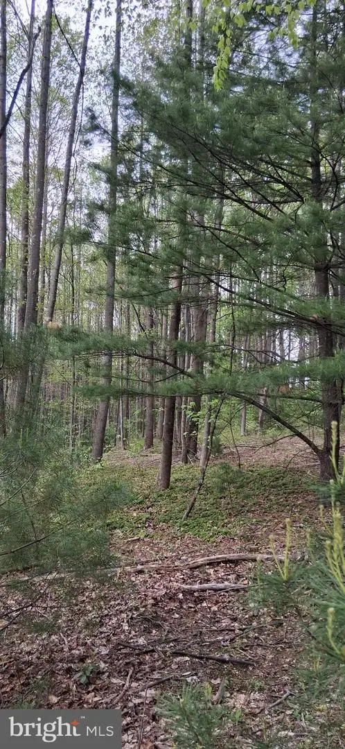 0 Teaberry Rd., BEDFORD, PA 15522