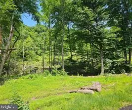 Tiger Valley Rd, Hyndman, PA 15545 - #1