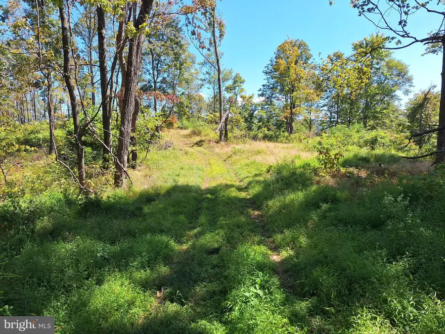 Tiger Valley Rd, Hyndman, PA 15545 - #3