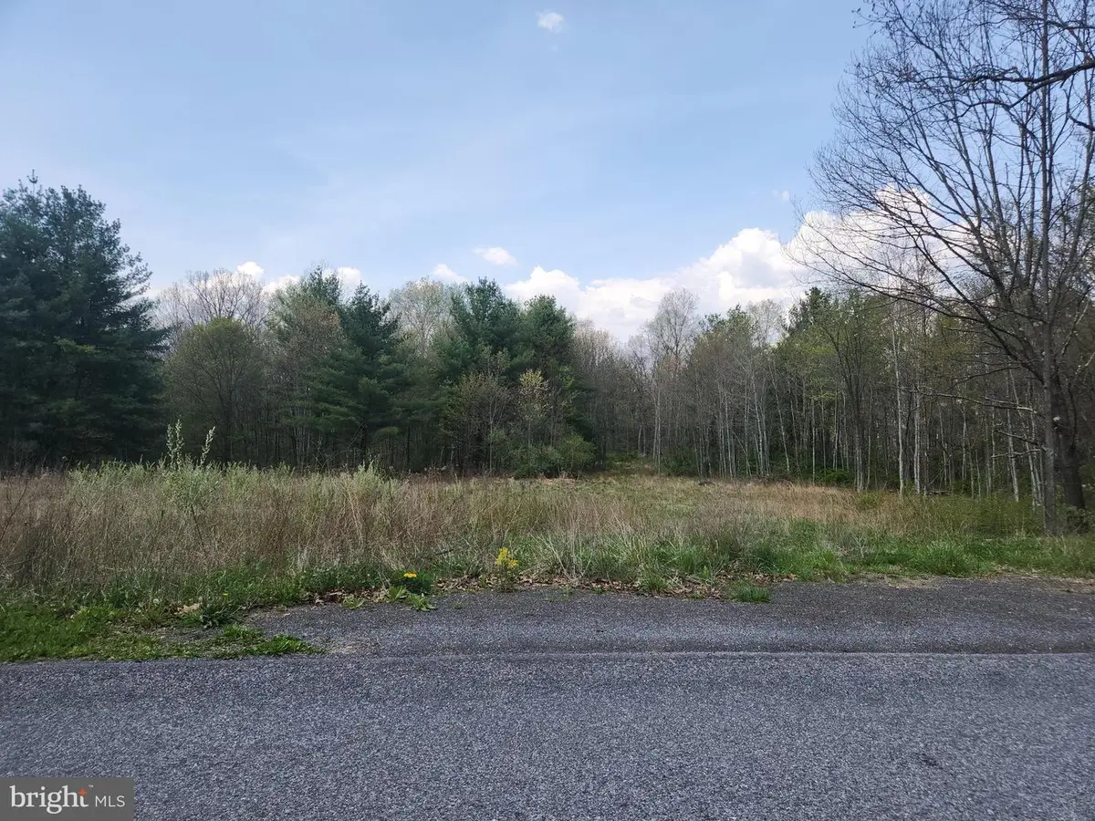 Lot 3 Fickes Road, Imler, PA 16655 - #1