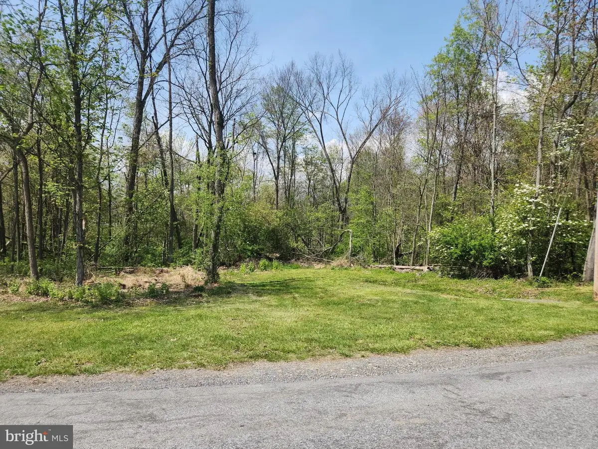 Lot 6 Fickes Rd, Imler, PA 16655 - #1