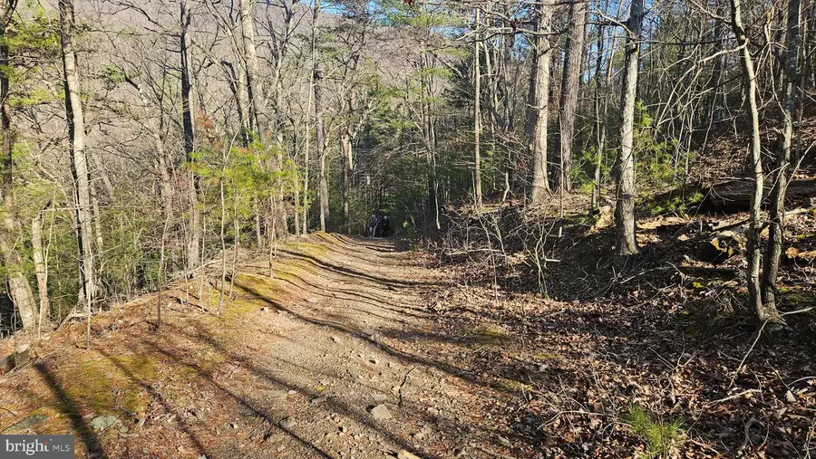 00 Tiger Valley Rd, Hyndman, PA 15545 - #2