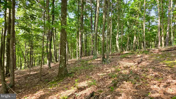 Mosquito Rd, SIX MILE RUN, PA 16679