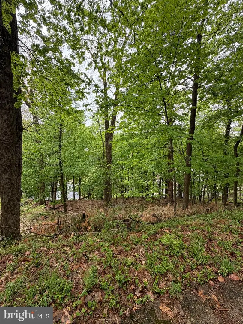 1707 Mineral Spring Rd, Reading, PA 19602 - #1