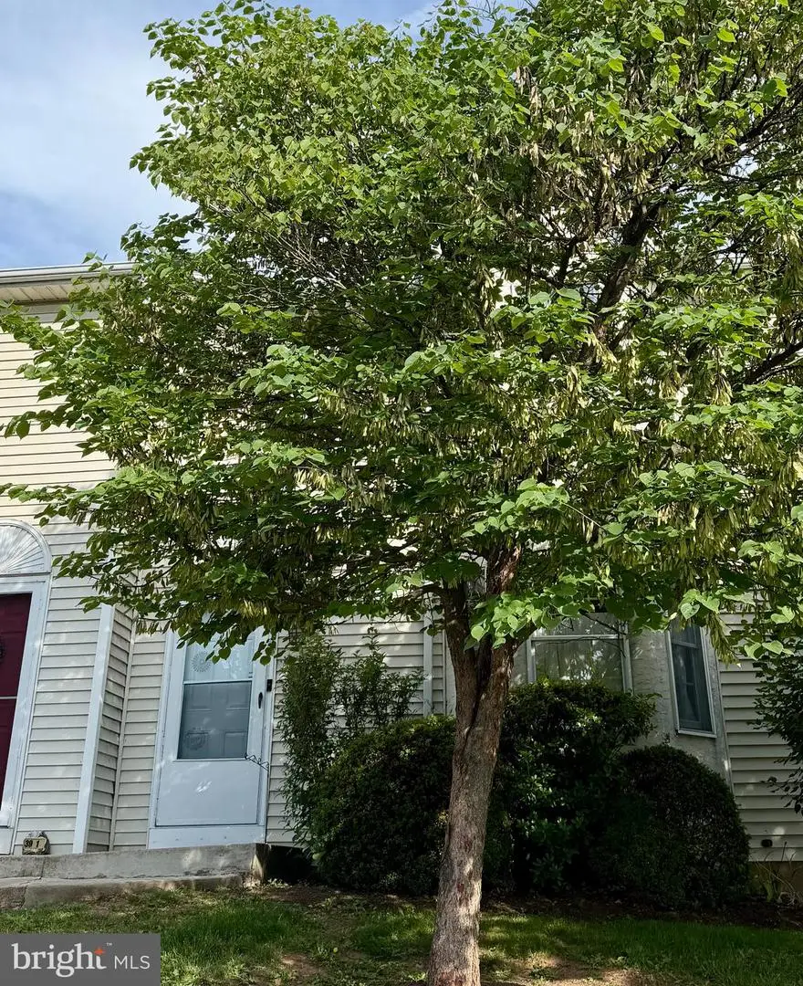 39-2 Mint Tier, Reading, PA 19606 - #2