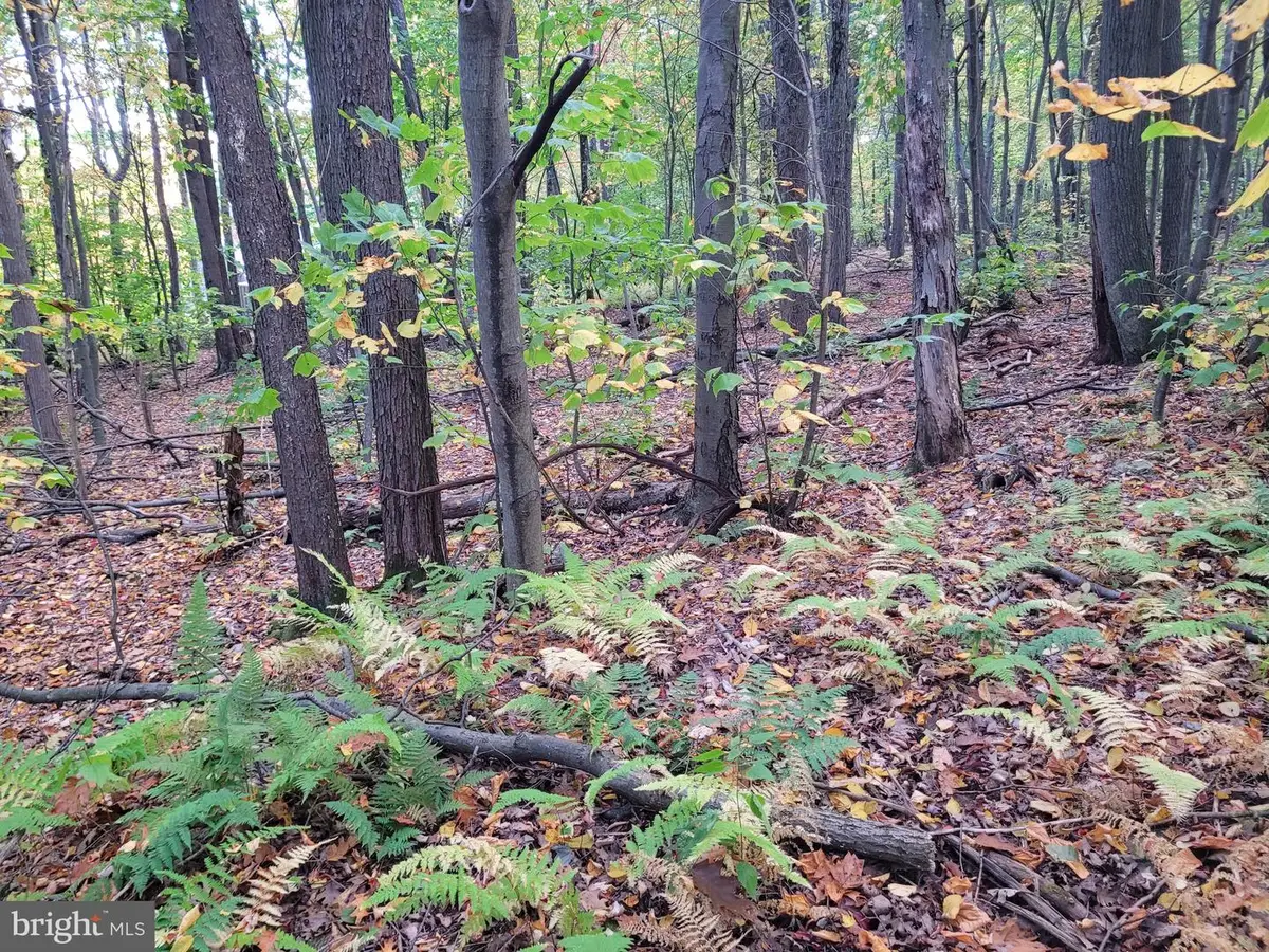 Lot 276 Ironmasters Sandlewood Way, Claysburg, PA 16625 - #1