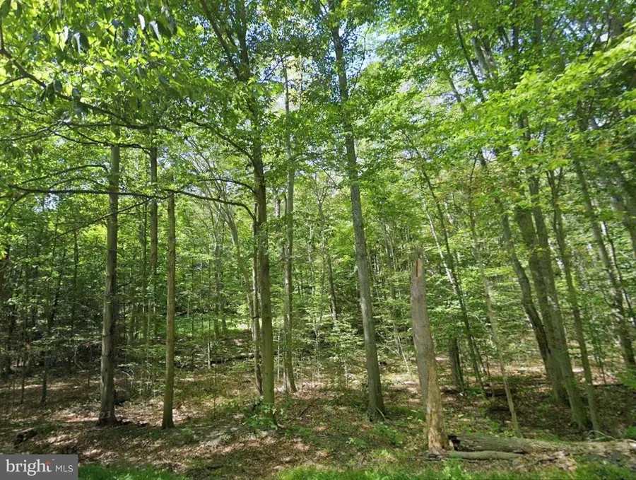 00 Juniata Valley, Hollidaysburg, PA 16648 - #2