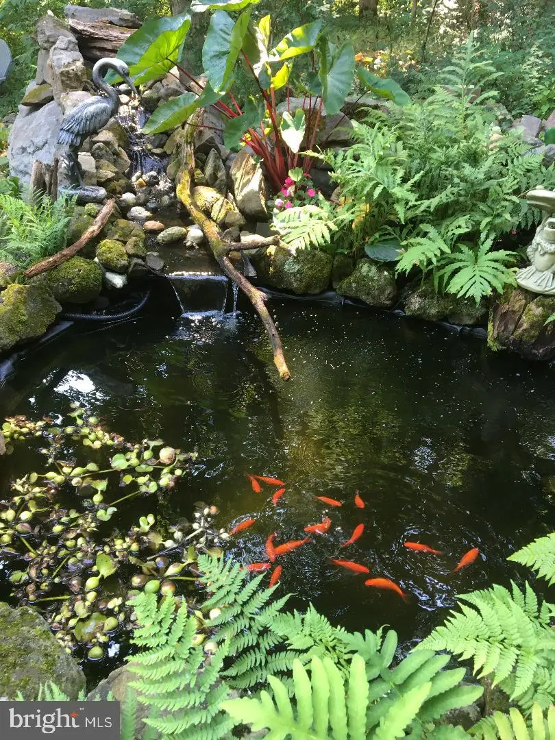 1395 Sleepy Hollow Rd, Pennsburg, PA 18073 - Image #3